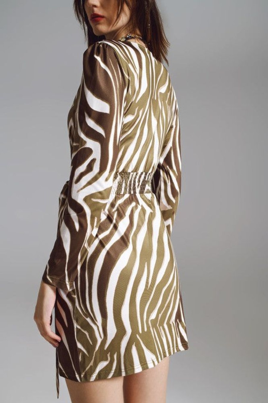 Clothing Q2 | Ciara Dress Brown Zebra